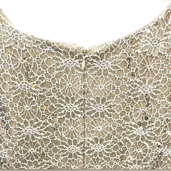 R&M Richards Lace Sequin Sleeveless Sheath Cocktail Dress Size 14W EUC - Picture 5 of 10